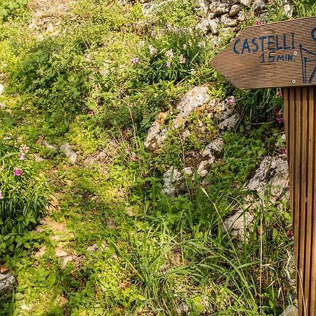 منزل الضيف أخارافي  في Castelli Olive Press المظهر الخارجي الصورة