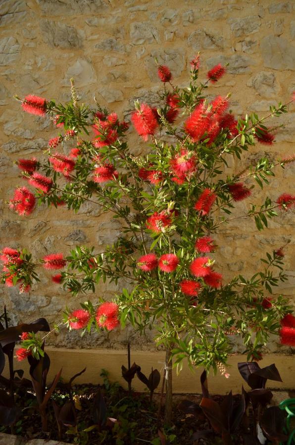 منزل الضيف أخارافي  في Castelli Olive Press المظهر الخارجي الصورة